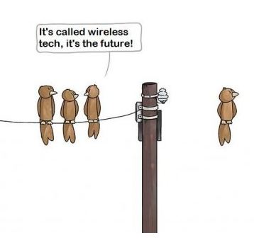 Wireless future
